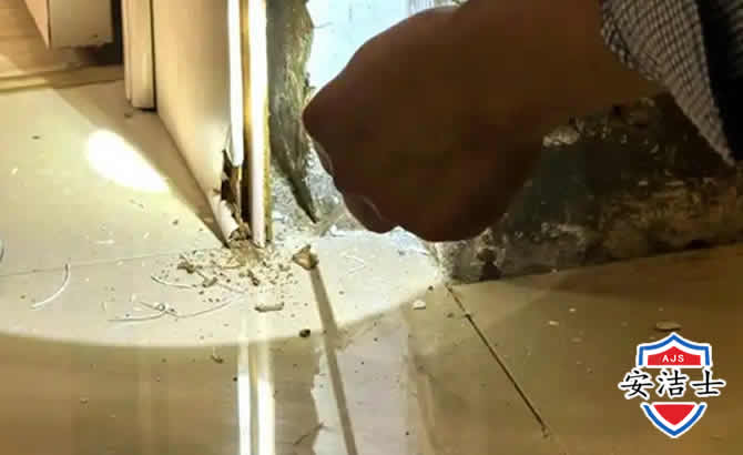 德清房屋建筑防治白蚁