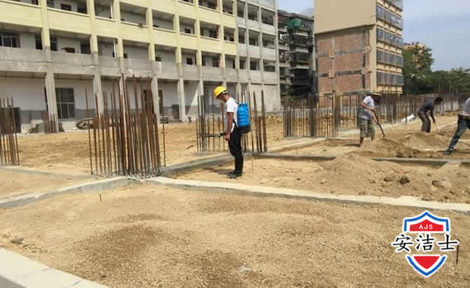 德清学校机关防治白蚁