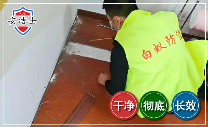 德清除四害现场