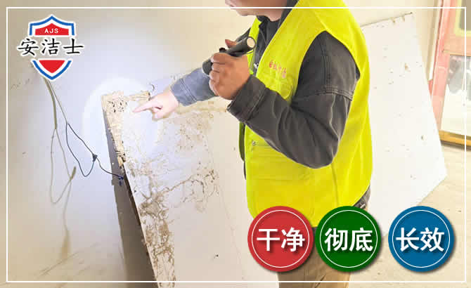 德清除白蚁现场