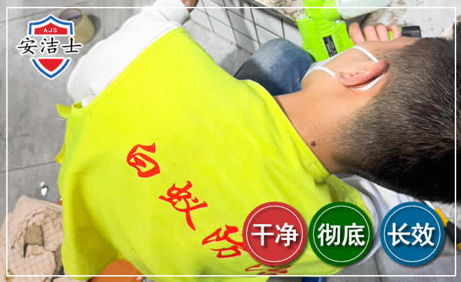 德清白蚁根治现场